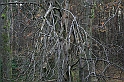 Rostoczek 11.2008 136